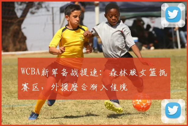WCBA新军备战提速：森林狼女篮抵赛区，外援磨合渐入佳境 - 足彩网推荐